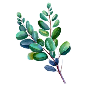 Watercolor Painted Eucalyptus Png 06272024 PNG image