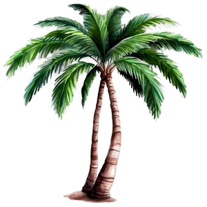 Watercolor Palm Tree Png 64 PNG image
