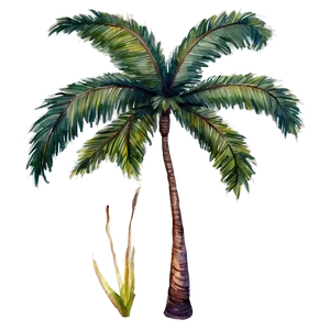 Watercolor Palm Trees PNG 60