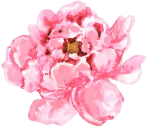 Watercolor Peony Artwork PNG image