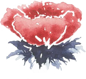 Watercolor Peony Artwork PNG