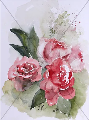 Watercolor Peony Artwork2013 PNG
