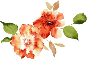 Watercolor Peony Floral Arrangement PNG