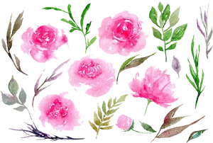 Watercolor Peony Floral Composition PNG image