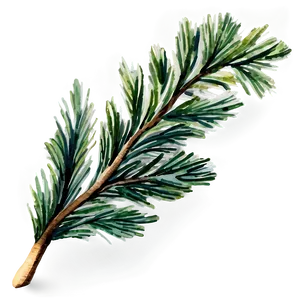 Watercolor Pine Branch Png 06132024 PNG image