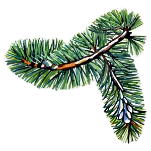 Watercolor Pine Branch Png 13 PNG image