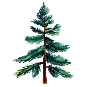 Watercolor Pine Trees PNG Njk79 PNG