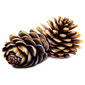 Watercolor Pinecone Painting PNG 69