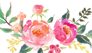 Watercolor_ Pink_ Flowers_ Artwork PNG image