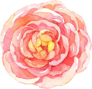 Watercolor Pink Rose Artwork