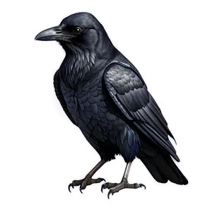 Watercolor Raven PNG 54