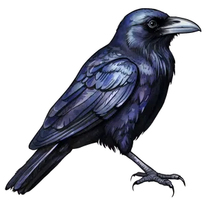 Watercolor Raven PNG 77