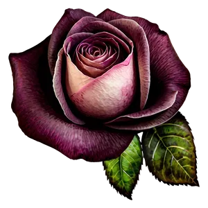 Watercolor Rose Beauty Png 77 PNG image