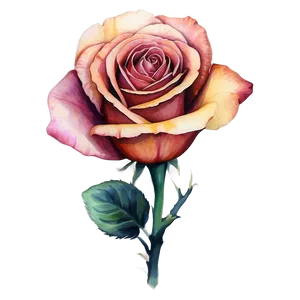 Watercolor Rose Tattoo Drawing Png 05252024 PNG image