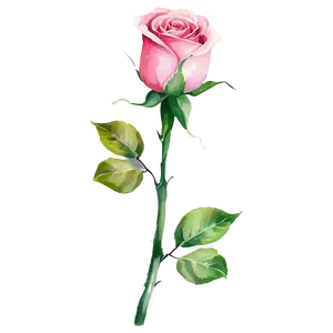 Watercolor Rose Vector Png 06262024 PNG image