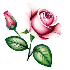 Watercolor Rose Vector Png 06262024 PNG image