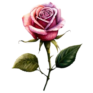 Watercolor Roses Art PNG Uee18