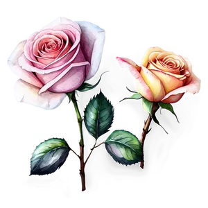 Watercolor Roses Collection PNG Bbt66