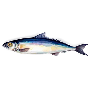 Watercolor Sardine Png 06292024 PNG image