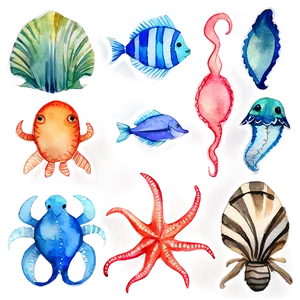 Watercolor Sea Creatures Png Ebs PNG image