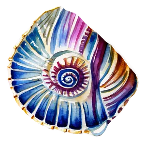 Watercolor Seashell Clipart Png Gfy PNG image