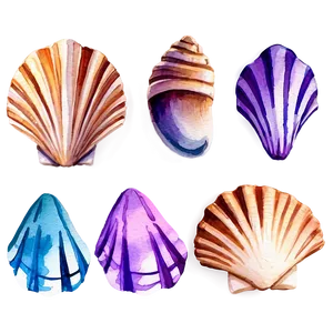 Watercolor Seashells Png 06132024 PNG image