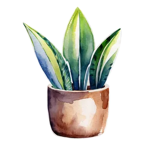 Watercolor Snake Plant Png Lms PNG image