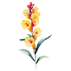 Watercolor Snapdragon Flowers Png 05252024 PNG image