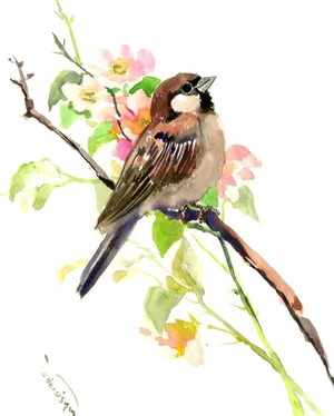Watercolor Sparrowon Branch PNG image