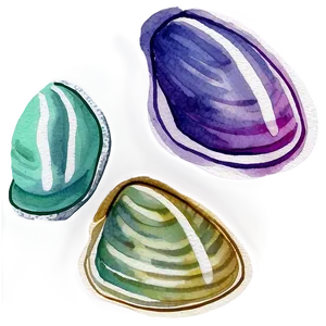 Watercolor Style Clam PNG 05242024