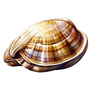 Watercolor Style Clam PNG 20