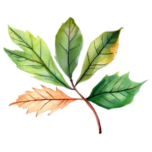 Watercolor Style Fallen Leaves PNG 06292024 PNG