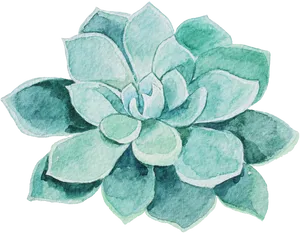 Watercolor Succulent Artwork PNG image