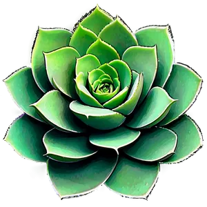Watercolor Succulent Png 3 PNG image