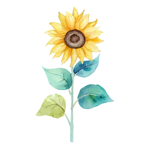 Watercolor Sunflower Artwork Design Png 81 PNG image