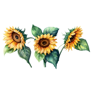 Watercolor Sunflower Illustration PNG Yrl34