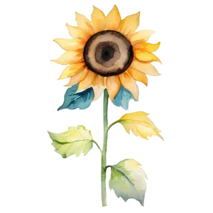 Watercolor Sunflower Transparent PNG 58
