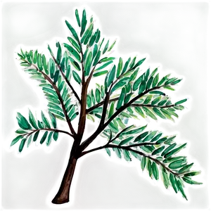 Watercolor Tree Branches PNG 59