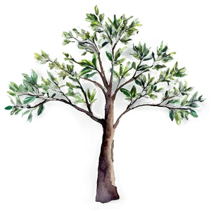 Watercolor Tree Branches PNG 67
