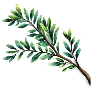 Watercolor Tree Branches PNG Exv