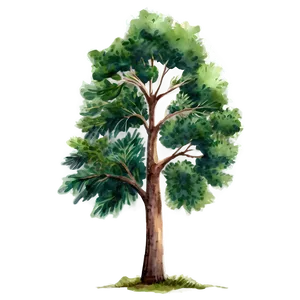 Watercolor Tree Elevation PNG Bex