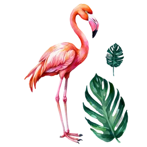 Watercolor Tropical Flamingo Png Ohn PNG image