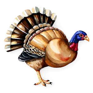 Watercolor Turkey PNG 05032024