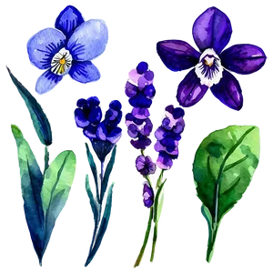 Watercolor Violet Flowers Png 65 PNG image