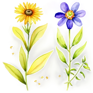 Watercolor Wildflowers Clipart PNG Awx