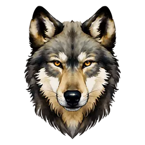 Watercolor Wolf Face Portrait Png 06292024 PNG image