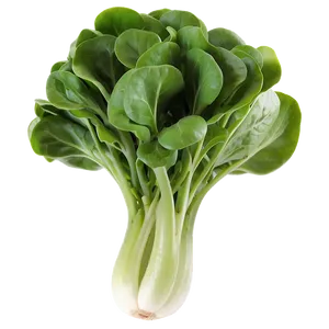 Watercress Lettuce Png Fml41 PNG image