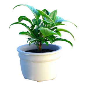 Watering Hanging Plant PNG 63 PNG