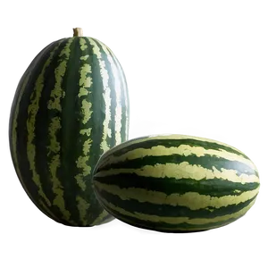 Watermelon Field PNG 05232024 PNG