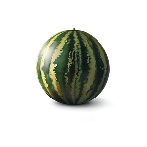 Watermelon Party PNG 05232024
